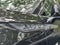 2025 Lincoln Aviator Premiere Premium