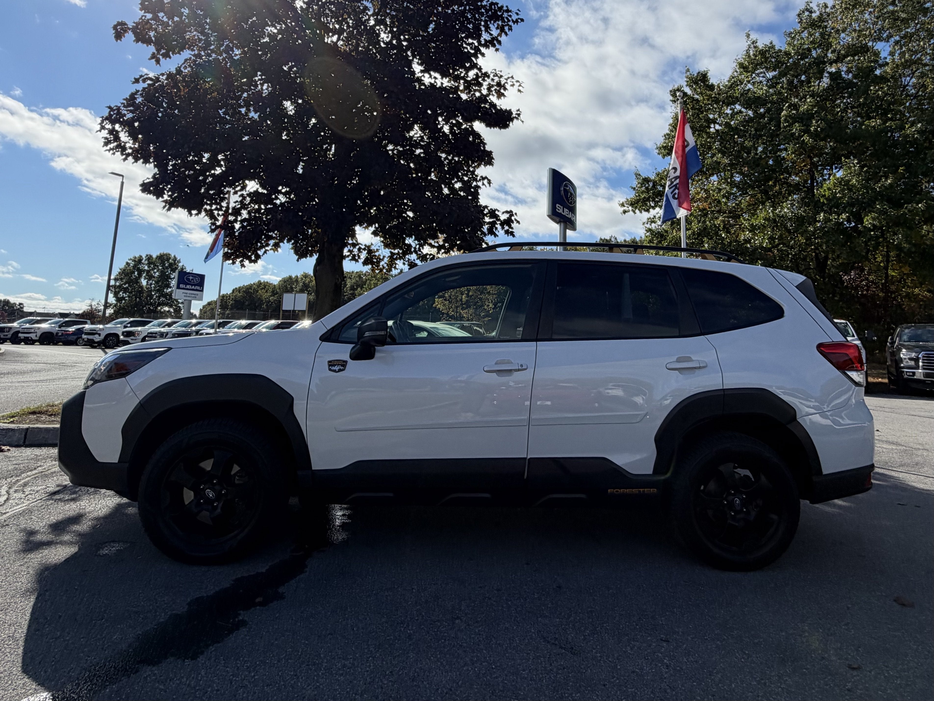 2022 Subaru Forester Wilderness