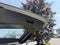 2021 Subaru Forester Base